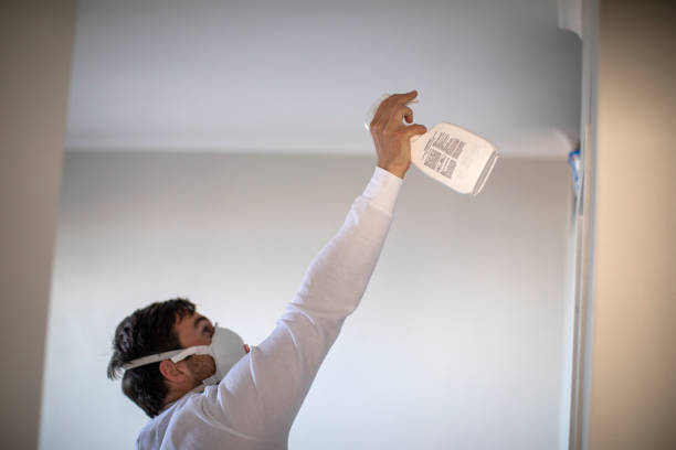 Trusted Pompton Plains, NJ Mold Removal Experts