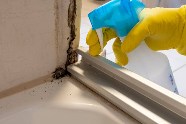 Best Crawl Space Mold Removal  in Pompton Plains, NJ