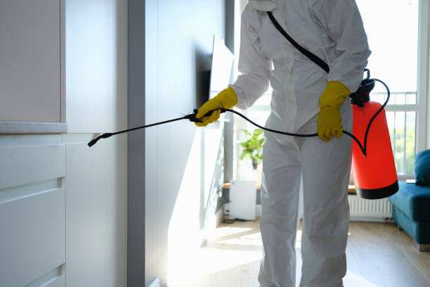 Best Crawl Space Mold Removal  in Pompton Plains, NJ