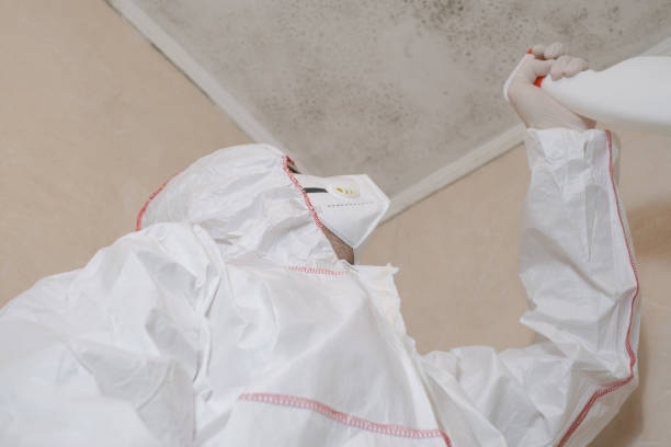 Best Mold Removal and Inspection  in Pompton Plains, NJ