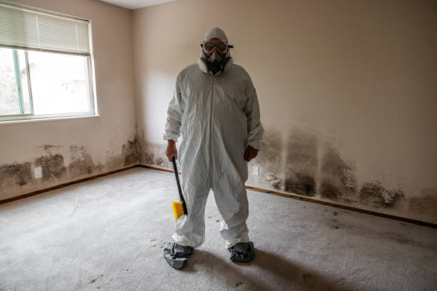 Best Toxic Mold Removal  in Pompton Plains, NJ